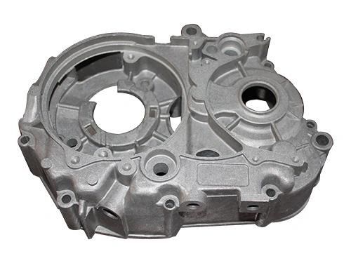 Aluminum Die Casting Electric Motor Housing