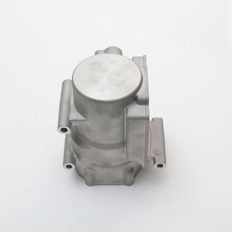 Light Housing Aluminum Die Casting