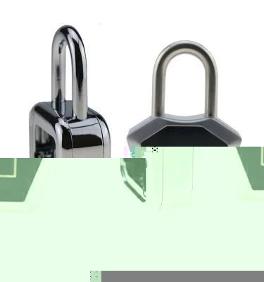 OEM Gravity Casting Smart Lock No. 2/3/5 Zinc Alloy Die Casting