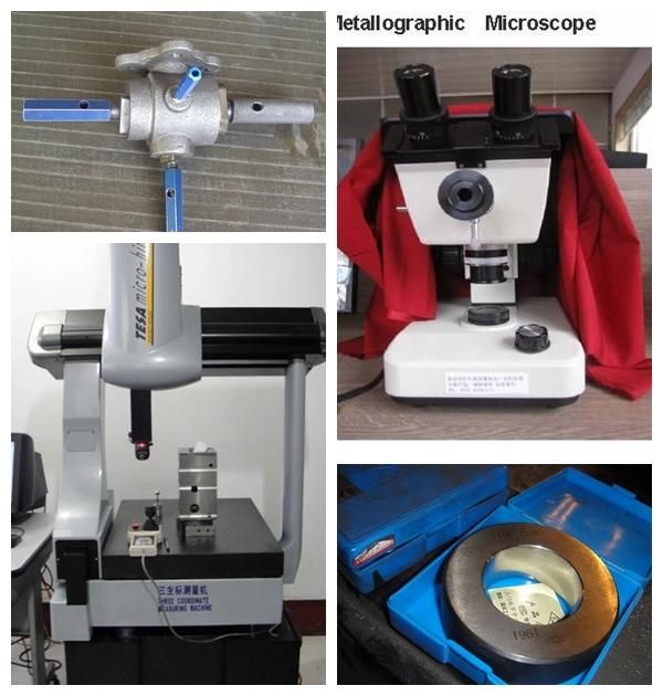 Customized Gray/Ductile Iron Casting Truck Parts
