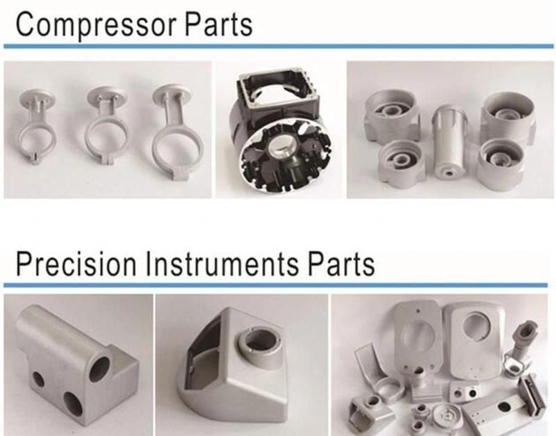 OEM Aluminum Casting for Motor Housing/Shell