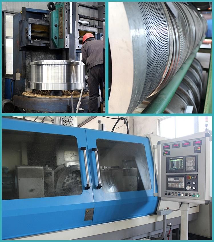 CE ISO Hot Sale Stainless Steel Ring Die for Feed Machine