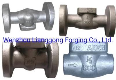 Hot Forging Parts Machining with 304 316 Stainless Steel