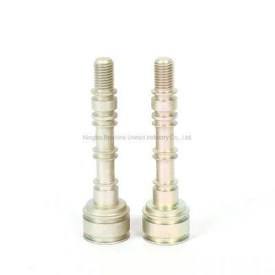 Standardthread Brass Pipe Hose Fitting