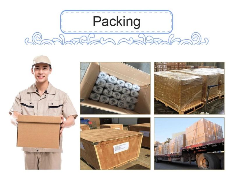 OEM Aluminum/Aluminium Die Casting Car Auto Body Parts