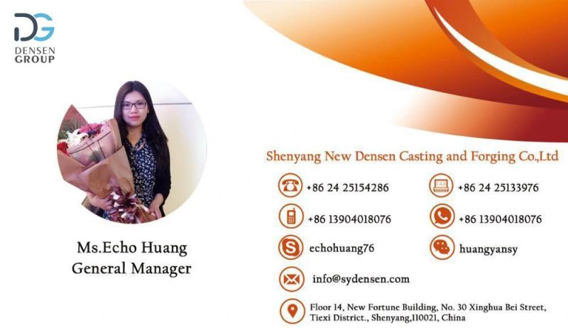 Densen Customized Good Quality High Precision Stainless Steel Investment Castings