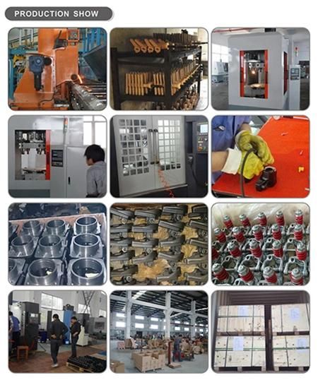 China Leading Foundry OEM Stainless Steel Casting for Vehicle Machinery Parts