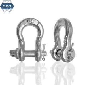 Custom Stainless Small Shackle /Forged Shackle / High Quality Shackle
