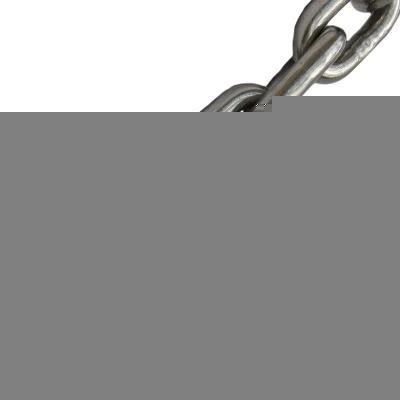Custom Factory Steel Link / Conveyor / Roller Chain