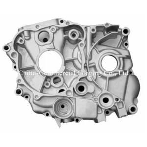Custom High Pressure Aluminum 6061 Die Casting for Cylinder Auto Parts