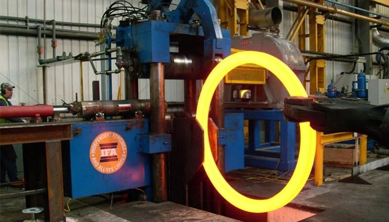 OEM Custom Stainless Steel Hot Forging Ring