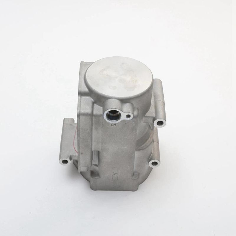 Light Housing Aluminum Die Casting