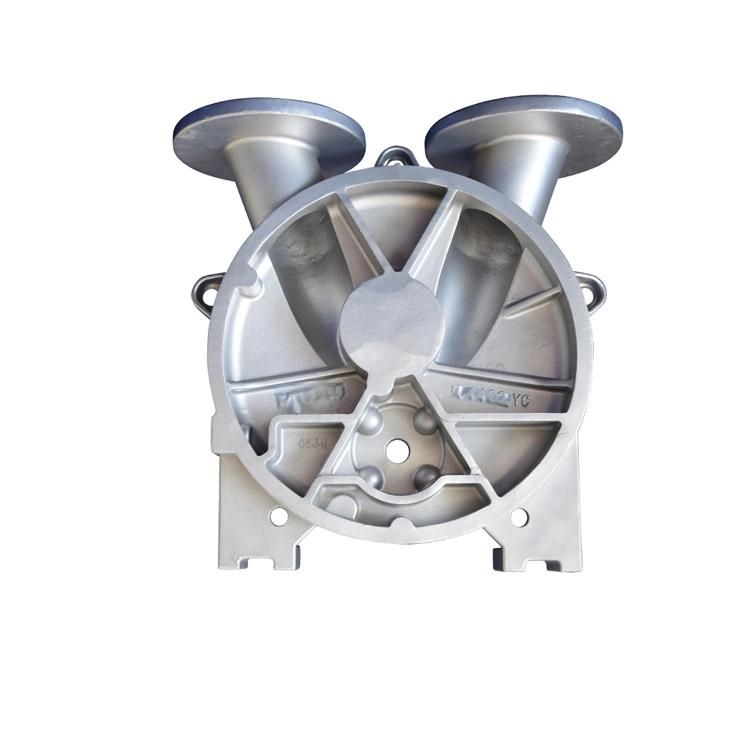 Densen Customized Quality Assurance Electro Galvanizing Stainless Steel Pump Parts Centrifugal Pump Body
