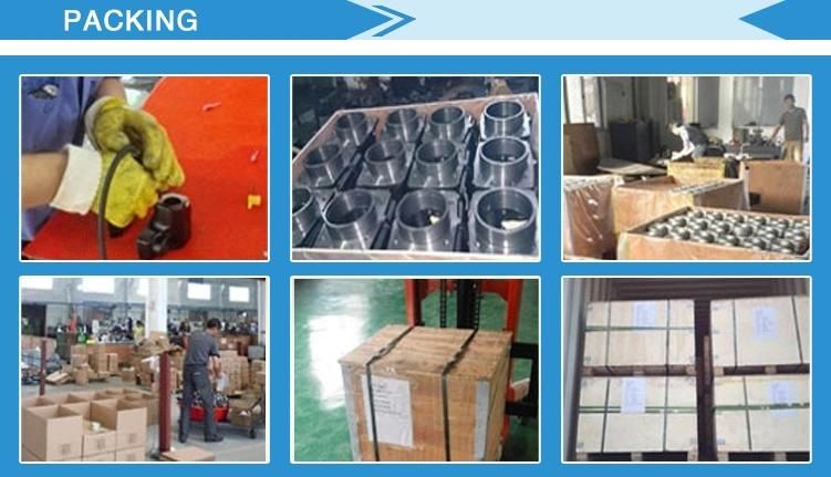 Stainless Steel /Carbon Steel Aluminum / Zinc /Copper/ Brass Metal Forging Parts