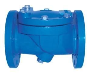 OEM Dn40 Ductile Iron Flexible Check Valve Casting with PE Coating