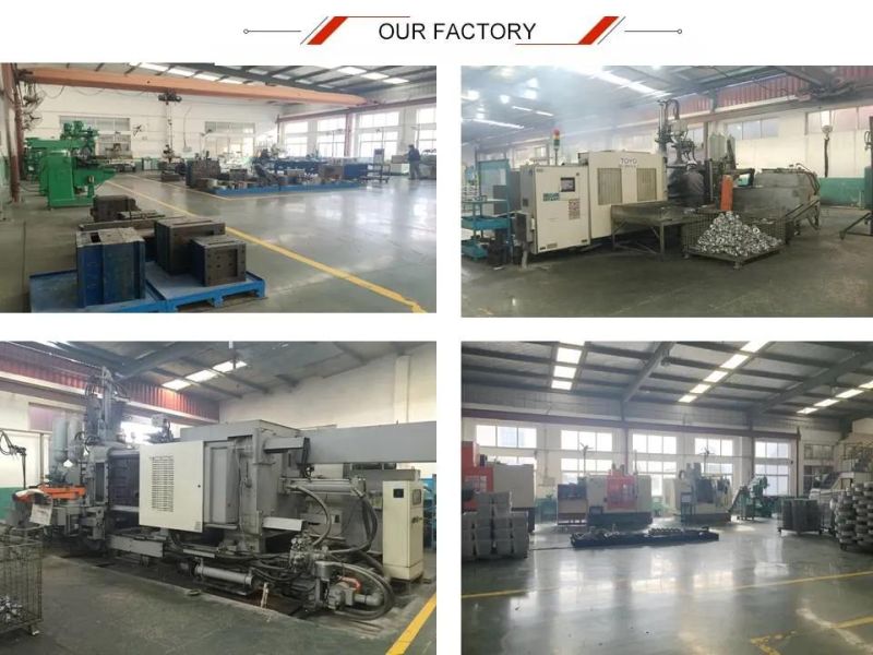 China Injection Molding Die Casting Auto Parts