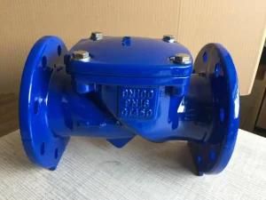 OEM Dn40 Ductile Iron Strainer Body Casting with PE Coating