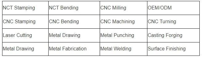 Custom Precision Aluminum Die Casting Parts for Motor Vehicle