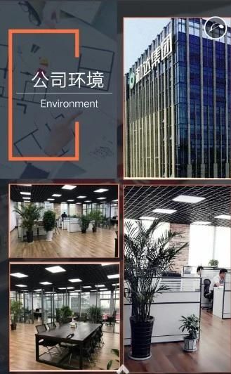 China OEM Metal Manufacturer Aluminum/Iron Sand Casting Parts