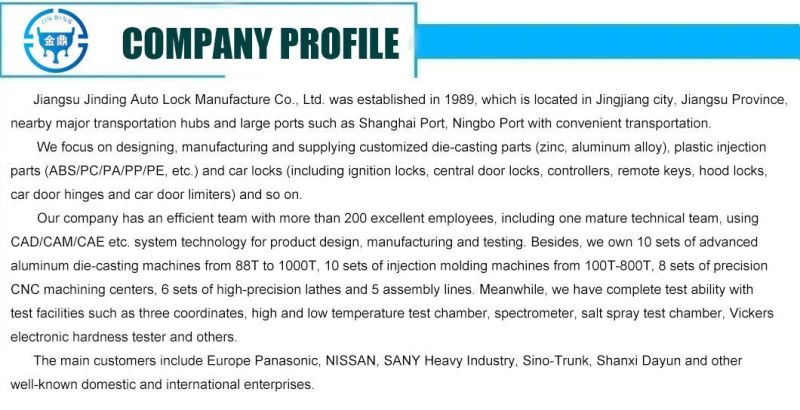 OEM Factory Aluminum Die Casting Auto Parts for Customization