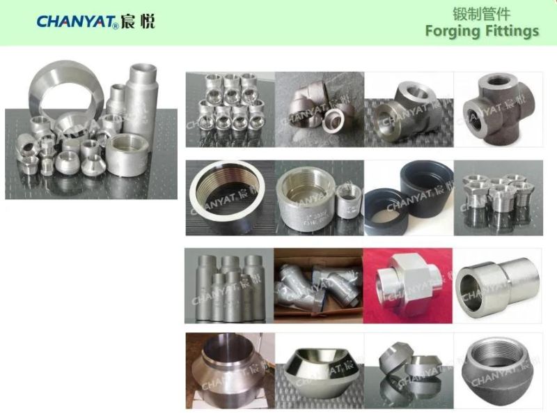 En/DIN Stainless Steel Forged Threaded Crosse (1.4550, X6CrNiNb1810)