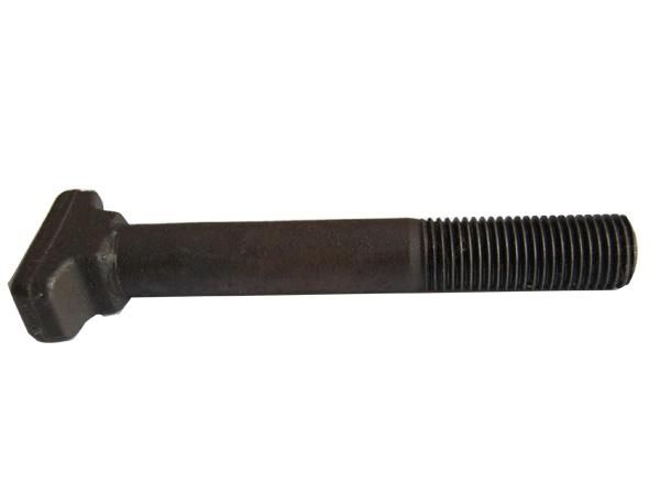 Zinc Ring Bolt M24 for Railway Tunnel Fastening