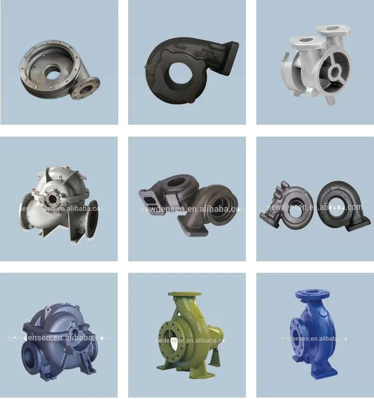 Densen Customized Cast Iron Pump Housing, Ductile Iron Pump Shell, Pump Casting, Water Pump Parts, Pump Casting in China Foundry
