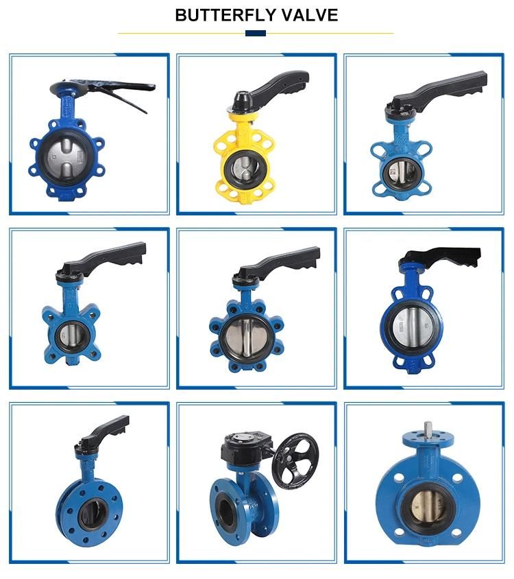 Lug Type Butterfly Valve for Marine Valve with Hand Lever