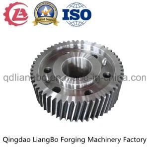 China Supplier Factory Worm Gear