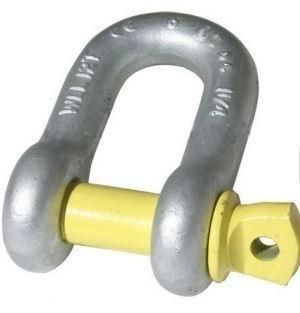 Hot Forged Stainless Steel Lifting D Ring Bow Shackles