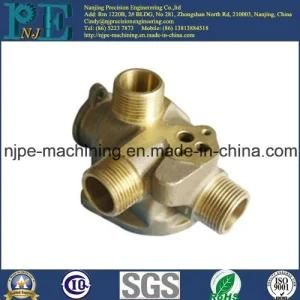 Brass Custom Investment Casting Main Pump Body