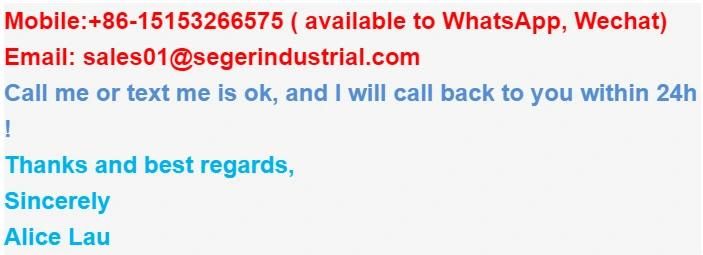 Supplier Customize Steel Lost Wax Precision Investment Casting Parts
