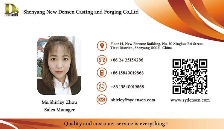 Densen Customized Investment Casting Parts Die Casting Stainless Steel Investment Precision Casting Part