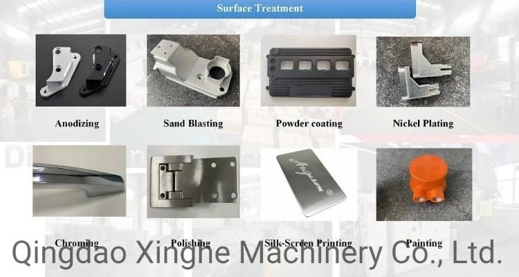 OEM Aluminum Precision Die Casting for Motor Parts with Polishing