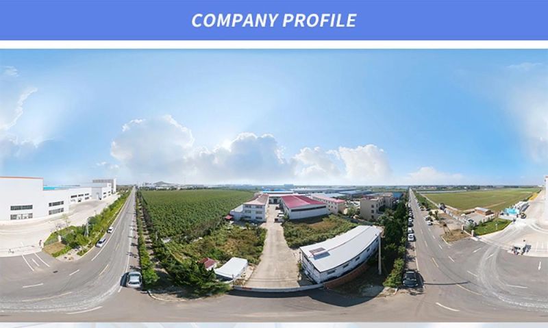 China Factory Manufacturer High Precision Aluminum Die Casting for Auto Part/Motorcycle/Machine Parts