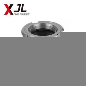 High Quality OEM Stainless Steel Impellers in Investment/Lost Wax/Precision Casting/Metal ...