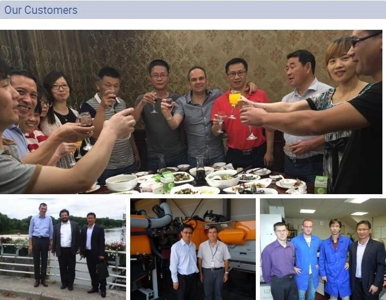 Manufacturer Customized Gravity Gear Water Pump Casting