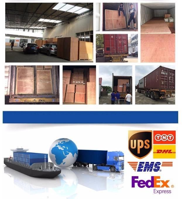 OEM Die Casting Companies High Quality Custom Aluminum Die Casting Zinc Alloy Die Casting