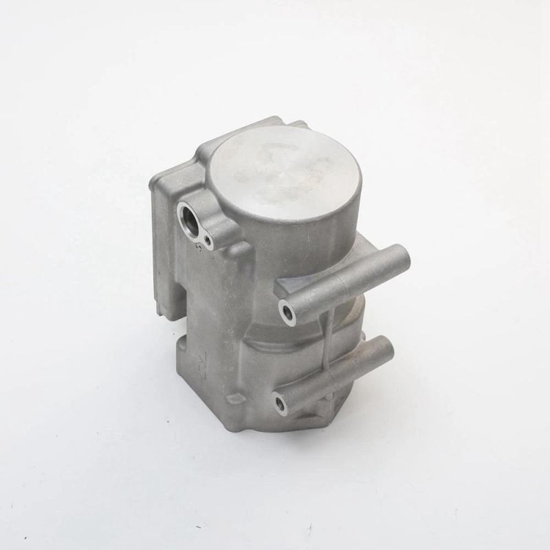 Light Housing Aluminum Die Casting