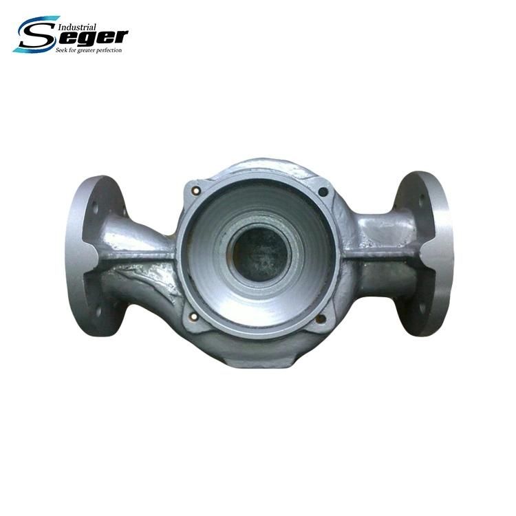 High Precision Pump Parts Centrifugal Casting