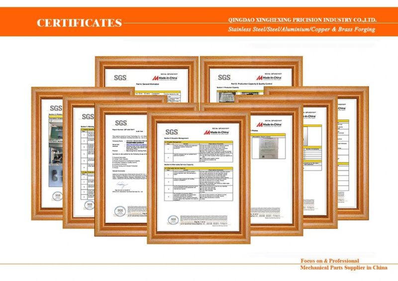 Aluminum/Brass/Iron Hot/Cold Drop/Die Forged Forging with CNC Machining/Powder Coating/Zinc Plating
