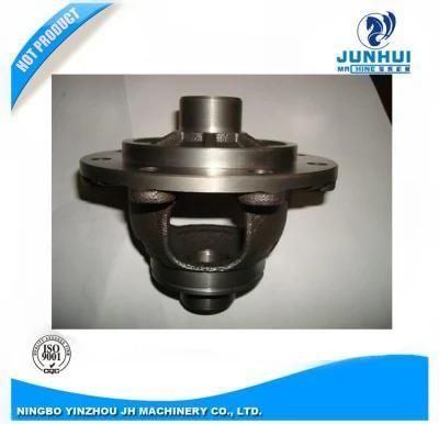 Customzied Iron Die Casting Auto Differential Used for Car Industry