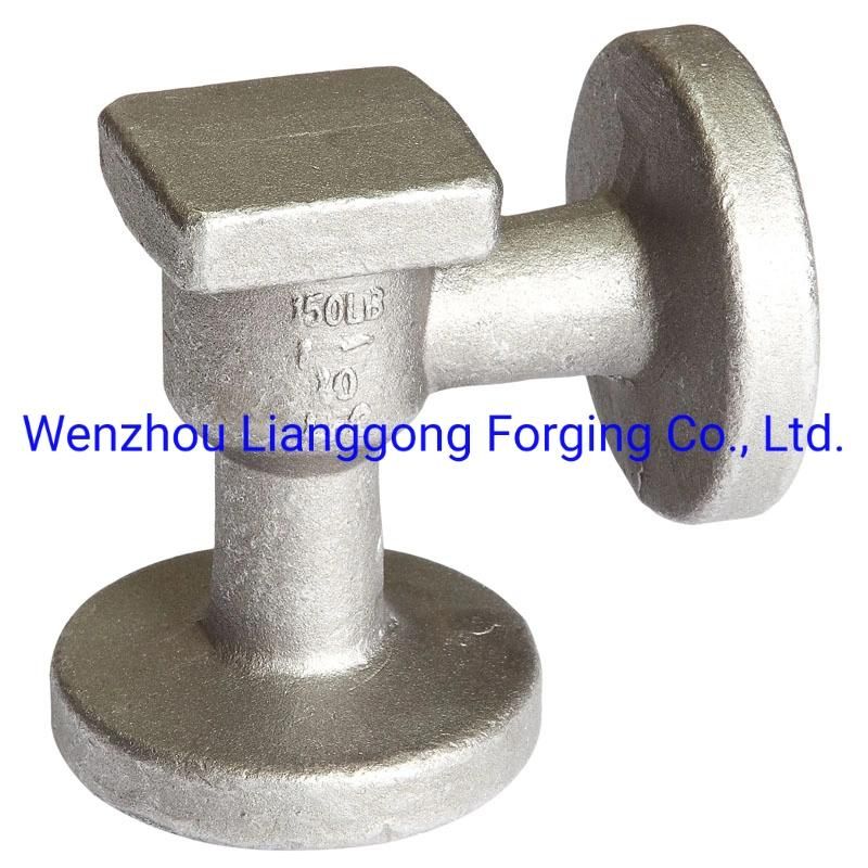 Custom Forged Steel Valve Components with Carbon Steel/Alloy Steel/Stainless Steel