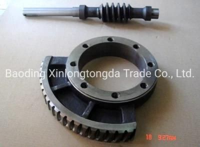 OEM Wholesale Carbon Steel Alloy Worm Wheel Gear