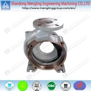 OEM Die Casting Ductile Iron Pump Body