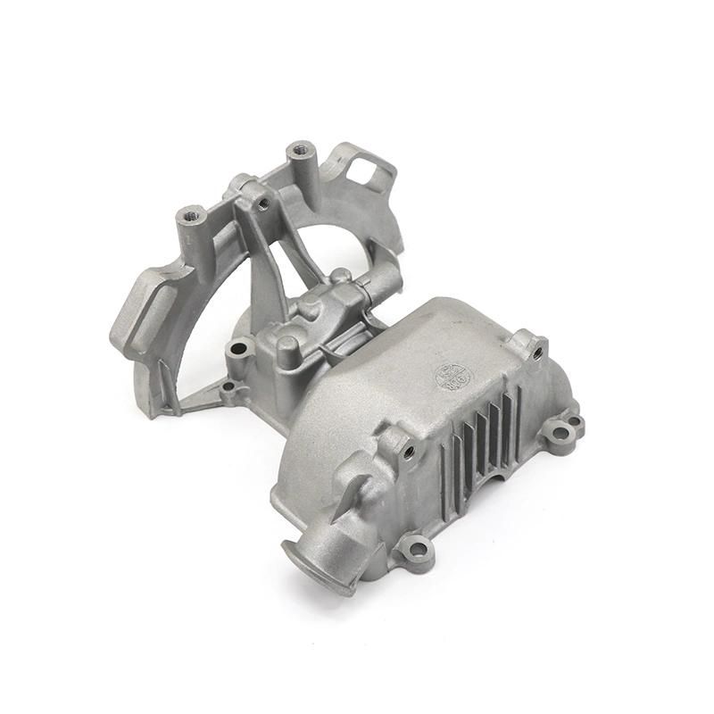 OEM Customized Oxidation Service Aluminum Alloy Die Casting Service