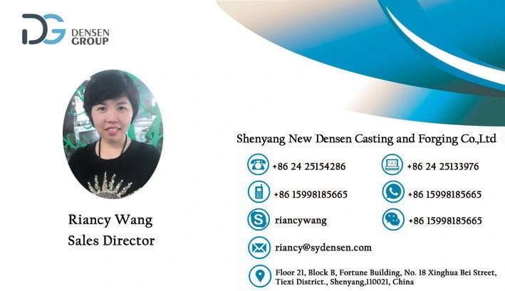 Densen Customized Stainless Steel 304 Lost Wax Casting, Alloy Steel Lost Wax Casting Machinery Accessories