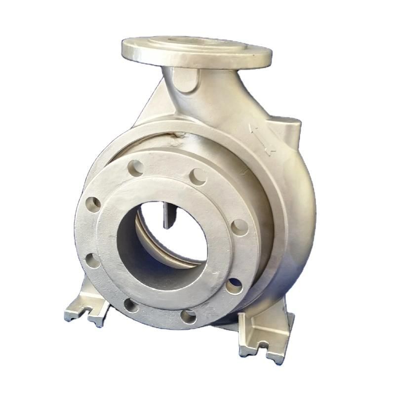 Densen Customized OEM Steel Pump Parts Cast Casing Cover Ring