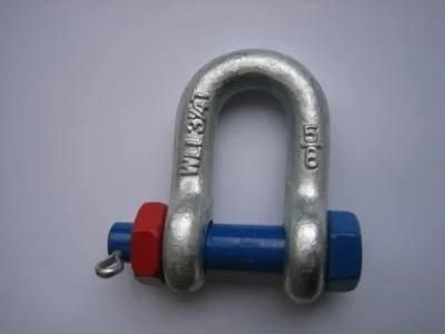 Standard Commercial EU Type Stainless Steel D Shackle