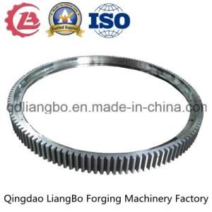 OEM Forging Part Stainless Steel Large External Gear